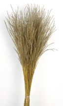 FINE GRASS 50cm NATURAL 01